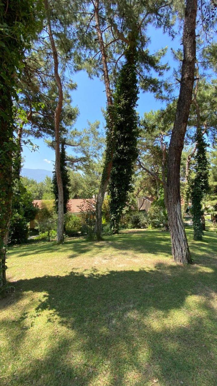 Pine Club Apart Hotel Kusadası Esterno foto